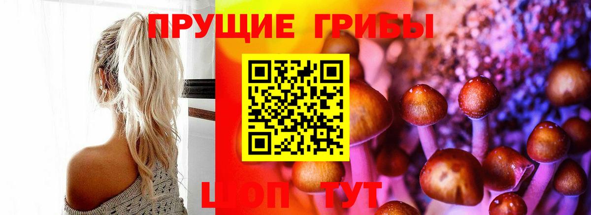 Галлюциногенные грибы MAGIC MUSHROOMS Барнаул